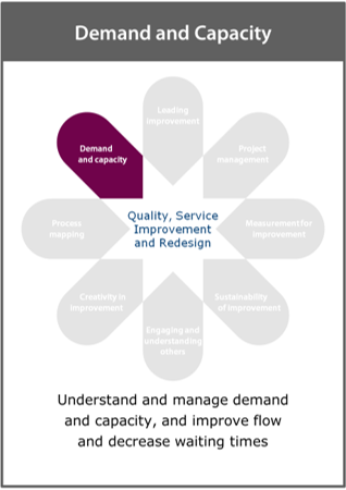 Image of the ‘demand and capacity’ framework card
