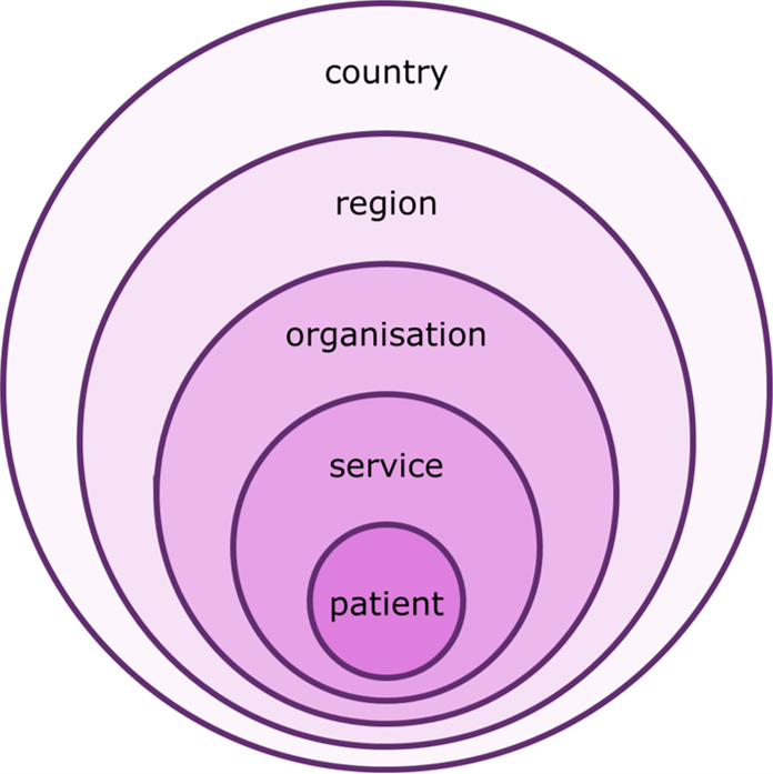 Concentric circles showing the patient inside a service which is inside an organisation which is inside a region which is inside a country