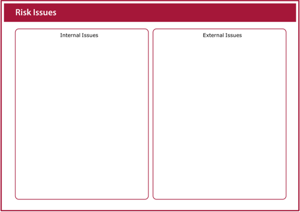 Image of the risk issues worksheet